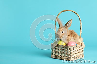 Adorable furry Easter bunny in wicker basket with dyed eggs on color background Stock Photo