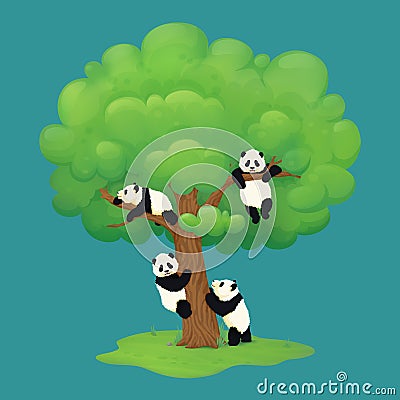Adorable giant panda cubs climbing a tree, hanging from the branch, resting on a bough and standing on hind legs near the trunk. Vector Illustration