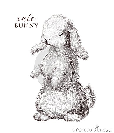 Adorable hand drawn cute bunny portrait isolated. Cartoon Illustration