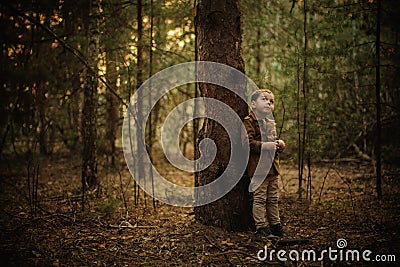 Adorable little boy hiking in the forest on summer day Stock Photo