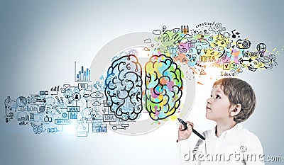 Little boy with marker, colorful brain sketch Stock Photo