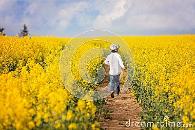 Adorable little boy, running in yellow oilseed field Stock Photo
