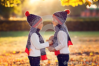 Adorable little brothers with teddy bear in park on autumn day Stock Photo