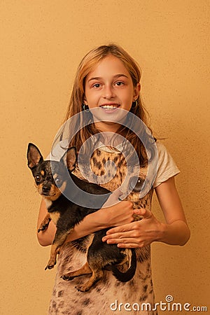 Adorable little girl holding chihuahua puppy standing. girl holding chihuahua dogs in her arms. girl 9 or 10 years Stock Photo