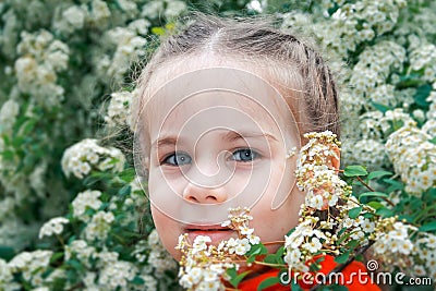 Adorable little girl Stock Photo