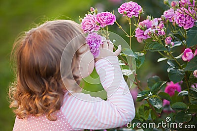 Adorable little girl smelling garden roses. Stock Photo