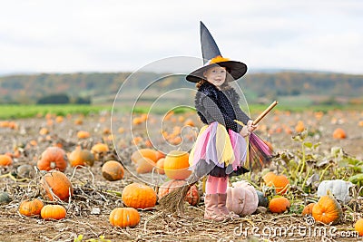 Little girl wearing halloween witch costume on pumpkin patch Stock Photo