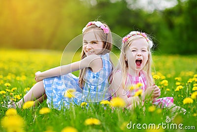 Adorable little girls having fun together in blooming dandelion meadow Stock Photo