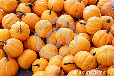 Bright orange baby pumpkins arranged on table at outdoor section of farmers market help welcome in Fall and upcoming holidays Stock Photo