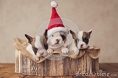 adorable little santa helpers celebrating christmas together Stock Photo