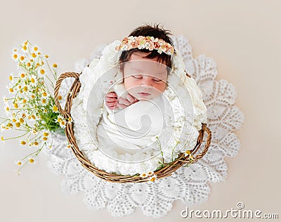 Adorable newborn sleeping in basket Stock Photo