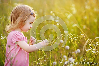 Adorable preschooler girl in a meadow Stock Photo