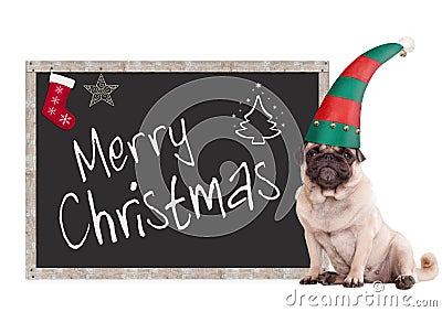 Adorable pug puppy dog wearing an elf hat, sitting next to blackboard sign with text merry christmas, on white background Stock Photo