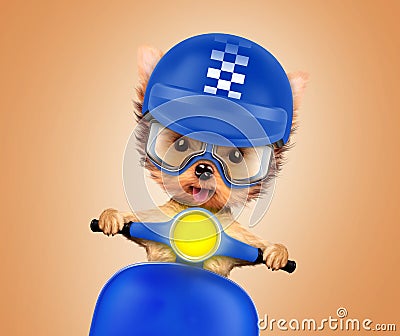 Adorable puppy sitting on a motorbike Cartoon Illustration