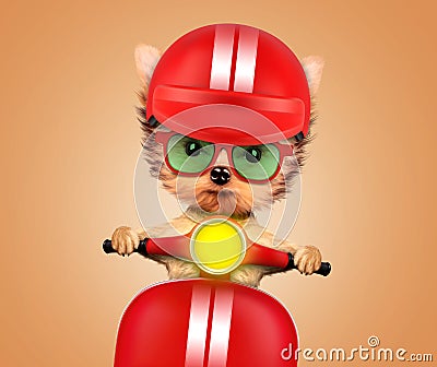 Adorable puppy sitting on a motorbike Cartoon Illustration