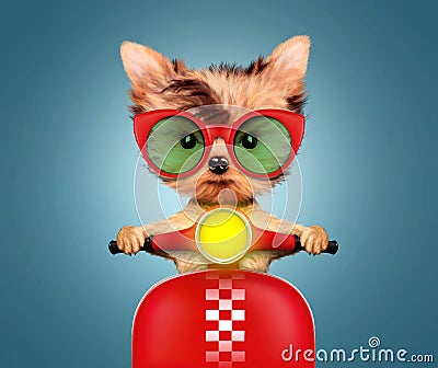 Adorable puppy sitting on a motorbike Cartoon Illustration