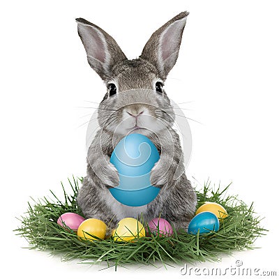 Adorable rabbit holds blue egg, epitomizing Easter holiday charm Stock Photo