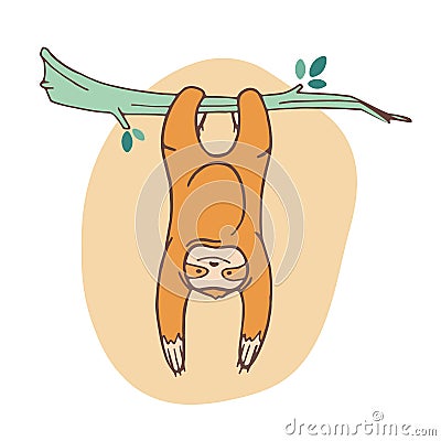 Adorable sloth clinging to branch and hanging. Joyful wild exotic animal playing on tropical tree. Cute cartoon Vector Illustration