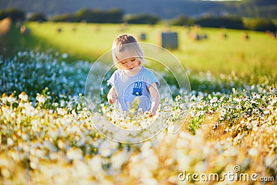 Adorable toddler girl amidst green grass and beauitiful daisies Stock Photo
