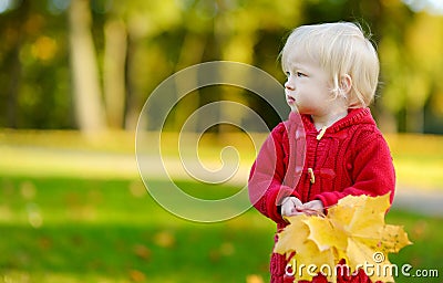 Adorable toddler girl holding yellow maple leaves Stock Photo