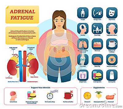 Adrenal fatigue vector illustration. List of glands disease symptoms. Vector Illustration