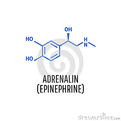 Adrenaline adrenalin, epinephrine molecule Vector Illustration