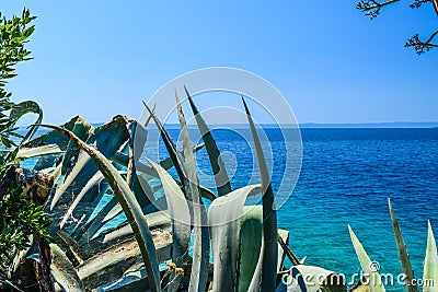 Adriatic coast of Croatia Stock Photo