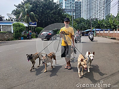 an adult asian is leading a dogs on the highway Editorial Stock Photo