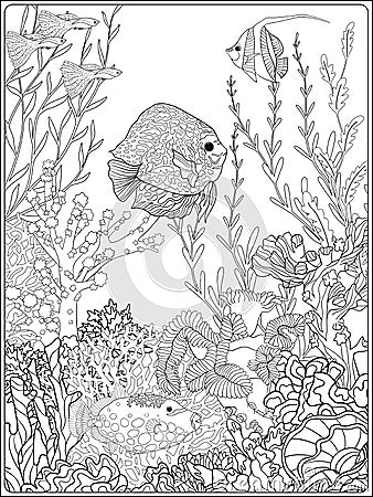 Adult coloring book. Coloring page with underwater world coral reef. Cartoon Illustration