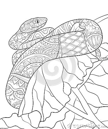 Adult coloring book,page a cute snake on the brunch with leaves for relaxing.Zen art style illustration Vector Illustration