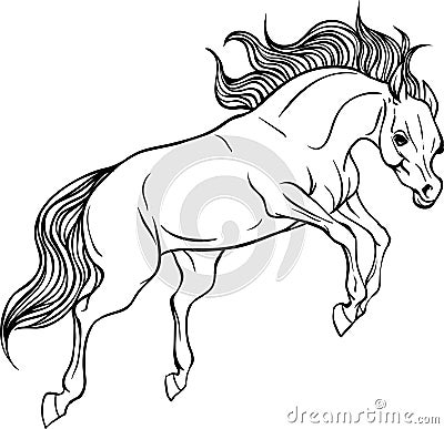 Adult coloring page horse. Vector Illustration