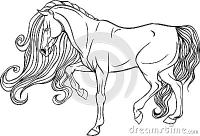 Adult coloring page horse. Vector Illustration