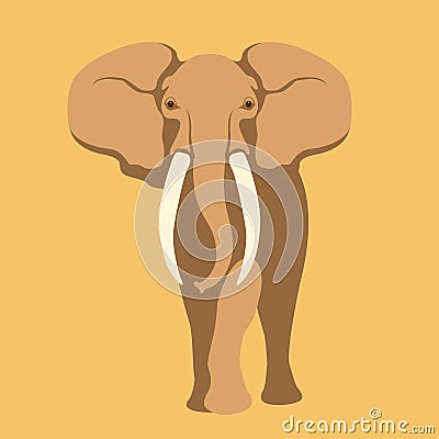 Adult elephant vector illustration Vector Illustration