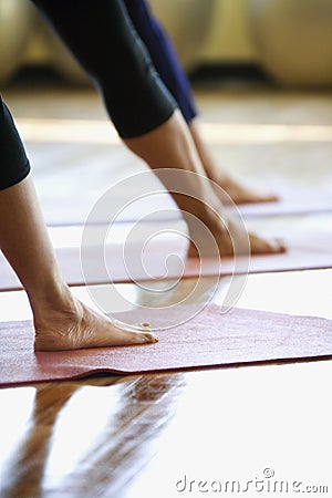 Adult females in yoga class. Stock Photo