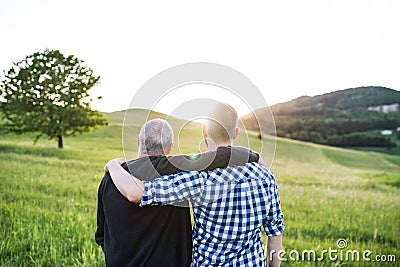 An adult hipster son with senior father standing in nature at sunset. Rear view. Stock Photo