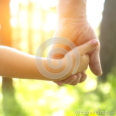 Adult holding a child's hand, close-up hands Stock Photo