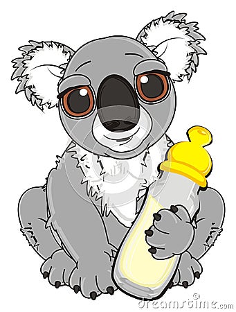 Adult koala with milk Stock Photo