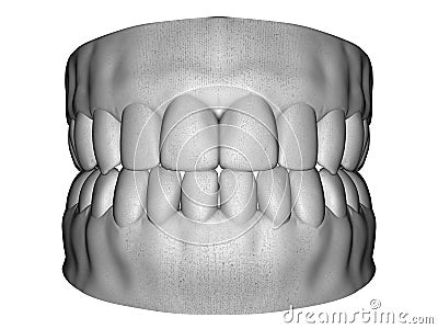 Adult male dental scan Cartoon Illustration