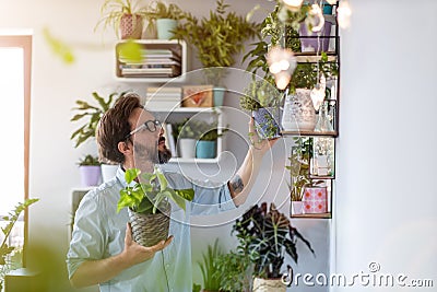 Man taking care of his potted plants at home Stock Photo