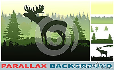 An adult moose stands in meadow near forest. Coniferous trees. Picture layers parallax effect. Nice silhouette. Vector Vector Illustration