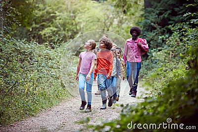 Adult Team Leaders With Group Of Children At Outdoor Activity Camp Walking Through Woodland Stock Photo
