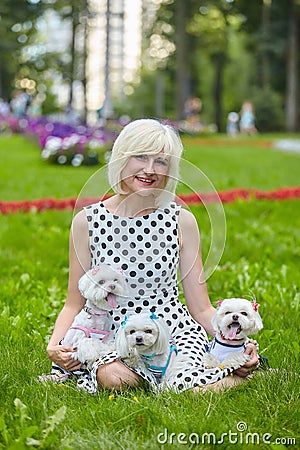 An adult woman in a park with three Maltese lapdogs Stock Photo