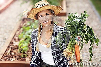 Adult woman picking vegetables from garden Stock Photo