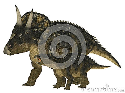 Adult and Young Nedoceratops Stock Photo