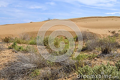 The advancing desert. Republic of Kalmykia. Russia Stock Photo