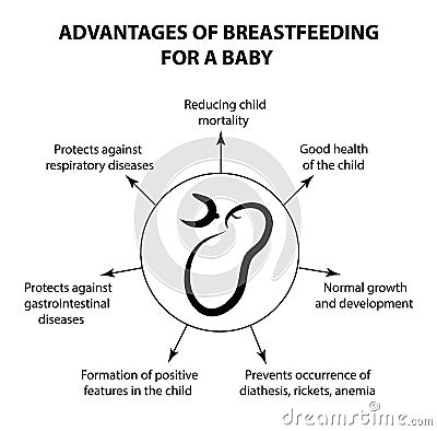 Advantages of breastfeeding for an infant. Infographics. Vector illustration on isolated background. Vector Illustration