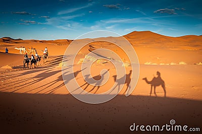 Adventure camel riding tours in the Sahara desert camels shadows Editorial Stock Photo