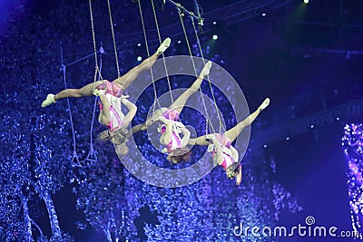 Adventure swing acrobatics Editorial Stock Photo