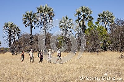 Adventure tourists on a walking safari - Namibia Editorial Stock Photo