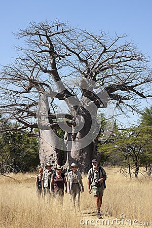 Adventure tourists on a walking safari - Namibia Editorial Stock Photo